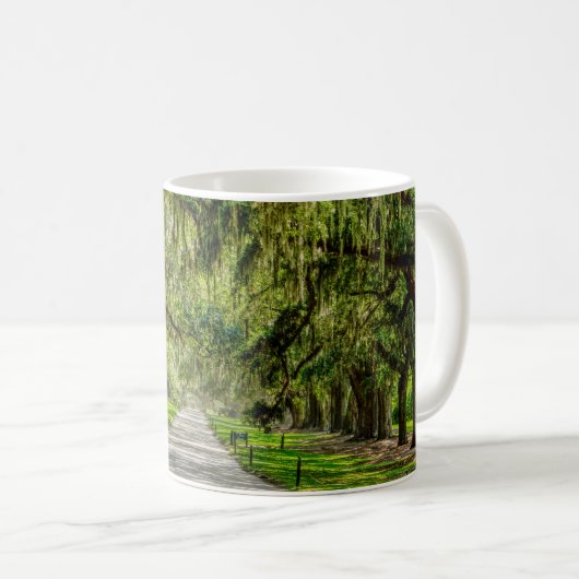 Die wunderschöne Avenue mit der Tasse des Eichenka (VorderseiteRechts)