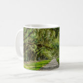 Die wunderschöne Avenue mit der Tasse des Eichenka (Vorderseite Links)