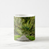 Die wunderschöne Avenue mit der Tasse des Eichenka (Mittel)