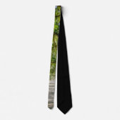 Die wunderschöne Avenue Oaks Neck Tie Krawatte (Rückseite)