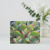 Die wunderschönen Gärten von Oxnard am Strand.. Postkarte (Stehend Vorderseite)