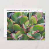 Die wunderschönen Gärten von Oxnard am Strand.. Postkarte (Vorne/Hinten)