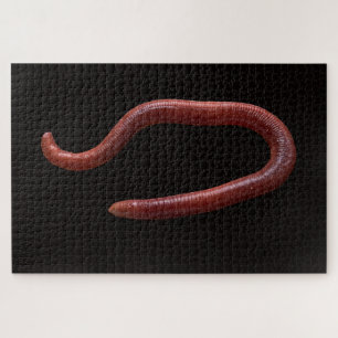 Die Wurmsammlung Puzzle