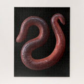 Die Wurmsammlung Puzzle (Vertikal)