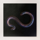 Die Wurmsammlung Puzzle (Horizontal)