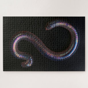 Die Wurmsammlung Puzzle