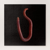 Die Wurmsammlung Puzzle (Horizontal)