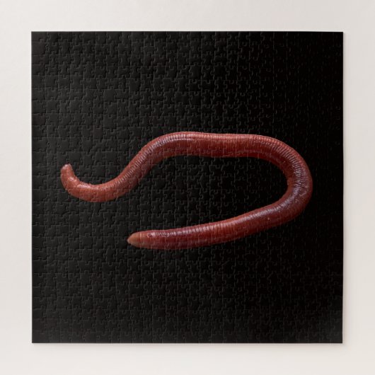Die Wurmsammlung Puzzle (Vertikal)