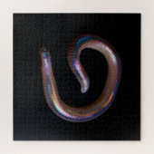 Die Wurmsammlung Puzzle (Horizontal)