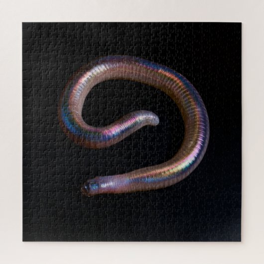 Die Wurmsammlung Puzzle (Vertikal)