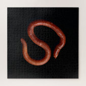 Die Wurmsammlung Puzzle (Horizontal)