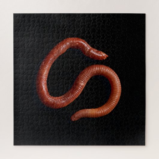 Die Wurmsammlung Puzzle (Vertikal)