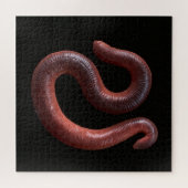 Die Wurmsammlung Puzzle (Horizontal)