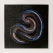 Die Wurmsammlung Puzzle (Horizontal)