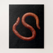 Die Wurmsammlung Puzzle (Vertikal)
