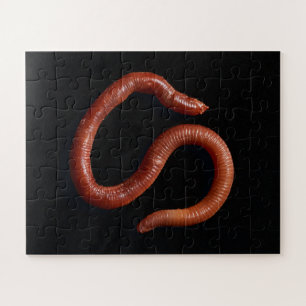 Die Wurmsammlung Puzzle