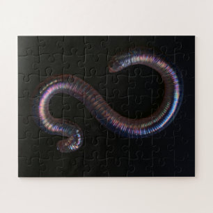 Die Wurmsammlung Puzzle
