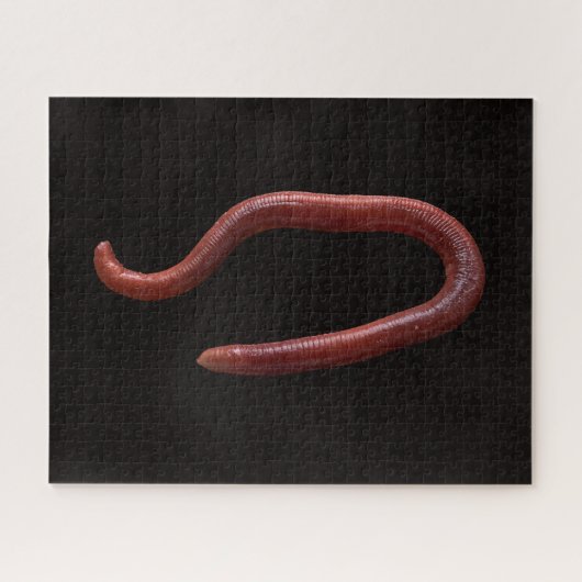 Die Wurmsammlung Puzzle (Horizontal)