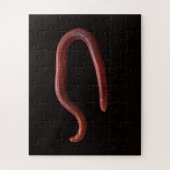 Die Wurmsammlung Puzzle (Vertikal)