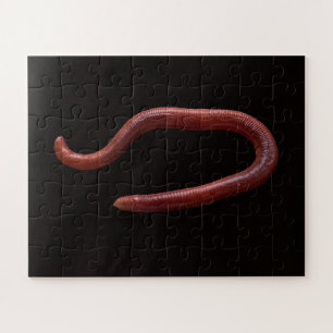 Die Wurmsammlung Puzzle