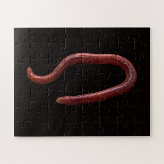 Die Wurmsammlung Puzzle (Horizontal)