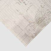 Die Wurzel von ihr alle Seidenpapier (Ausschnitt)