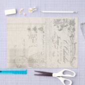 Die Wurzel von ihr alle Seidenpapier (Handwerk)