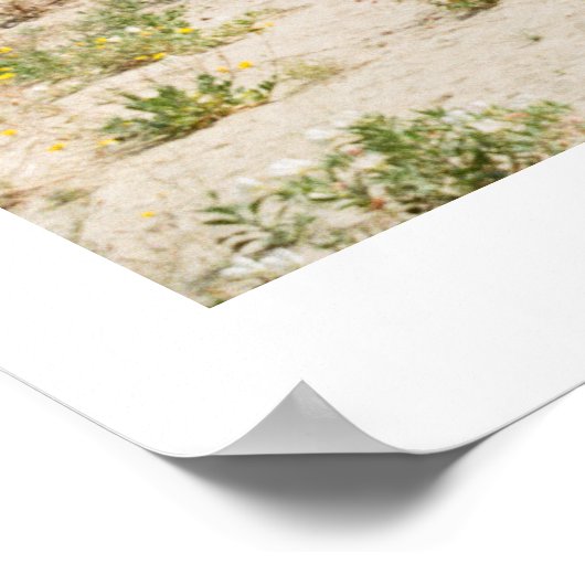 Die Wüste Anza Borrego Poster (Ecke)