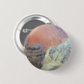 Die Wüste der Sahara in Algerien, Nordafrika. Button (Vorne & Hinten)