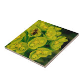 Die Wüsten-Gopher-Pflanze Fliese (Seite)