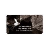 Die Yin Yang Cats Adressaufkleber (Vorne)