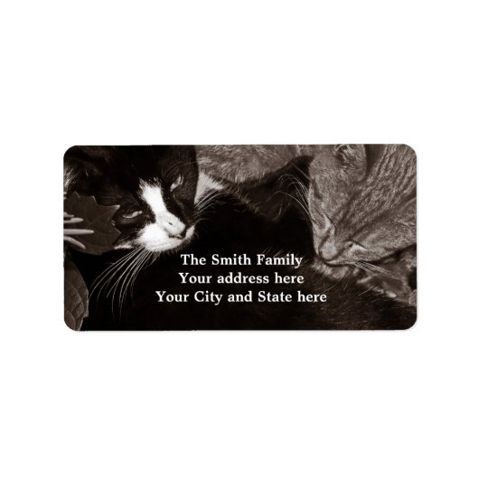 Die Yin Yang Cats Adressaufkleber (Vorne)