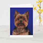 Die Yorkie Karte (Gelbe Blume)