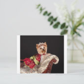 Die Yorkie Queen Postkarte (Stehend Vorderseite)