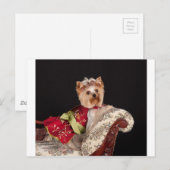 Die Yorkie Queen Postkarte (Vorne/Hinten)