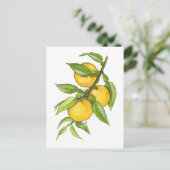 Die Yuzu-Sammlung Postkarte (Stehend Vorderseite)