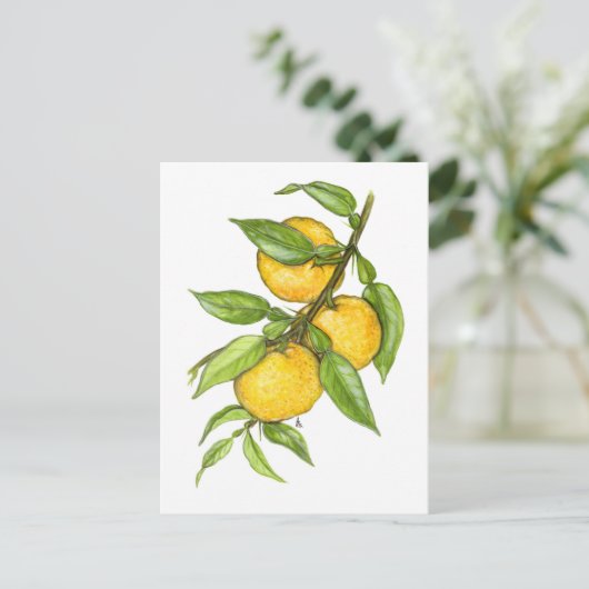 Die Yuzu-Sammlung Postkarte (Stehend Vorderseite)