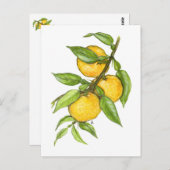Die Yuzu-Sammlung Postkarte (Vorne/Hinten)