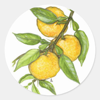 Die Yuzu-Sammlung Runder Aufkleber