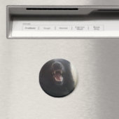 Die Zähne der belgischen Hirte alias "Der Schwarze Magnet (In Situ (Geschirrspüler))