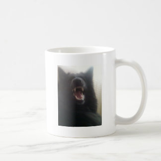 Die Zähne des belgischen Schäfers alias "der Kaffeetasse