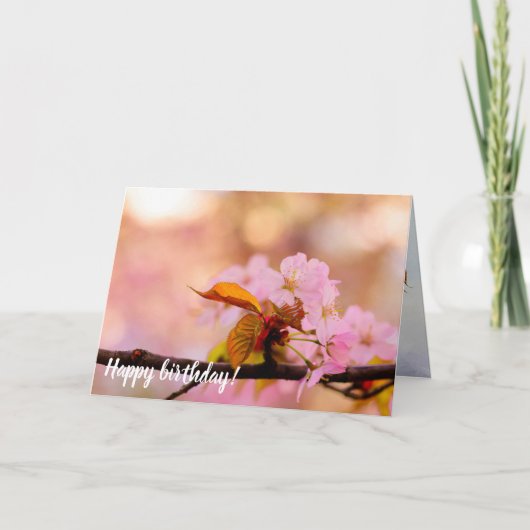 Die zärtliche Wärme der Blume von Sakura im Frühli Karte (Vorderseite)