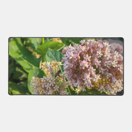 Die zauberhafte und duftende Milkweeds Schreibtischunterlage (Vorderseite)