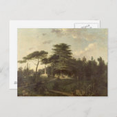 Die Zeder des Libanon im Jardin des Plantes Postkarte (Vorne/Hinten)