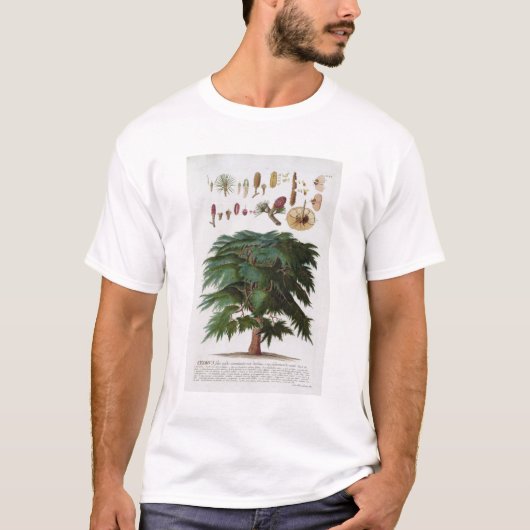 Die Zeder, graviert von Johann Jakob Haid T-Shirt (Vorderseite)