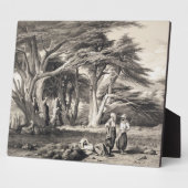 Die Zedern des Libanon, eingraviert von Freeman (s Fotoplatte (Seite)