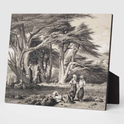 Die Zedern des Libanon, eingraviert von Freeman (s Fotoplatte (Seite)