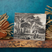 Die Zedern des Libanon, eingraviert von Freeman (s Fotoplatte (Seite)