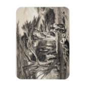 Die Zedern des Libanon, eingraviert von Freeman (s Magnet (Vertikal)