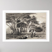 Die Zedern des Libanon, eingraviert von Freeman (s Poster (Vorne)